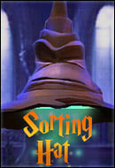 Harry Potter Hogwarts Mystery Sorting Hat