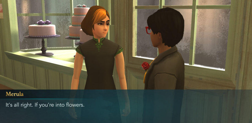 harry potter hogwarts mystery romance options