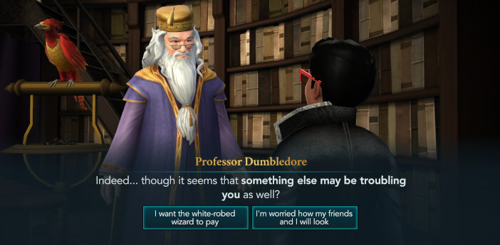 I'm a cat animagus why did I have to go to these lengthes, including  McGonagall : r/HPHogwartsMystery